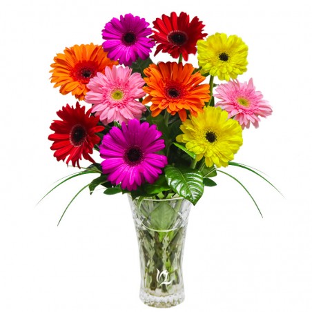 Bouquets and Arrangements of Gerberas