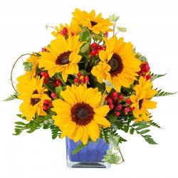 Vase Holder with 10 Sunflowers