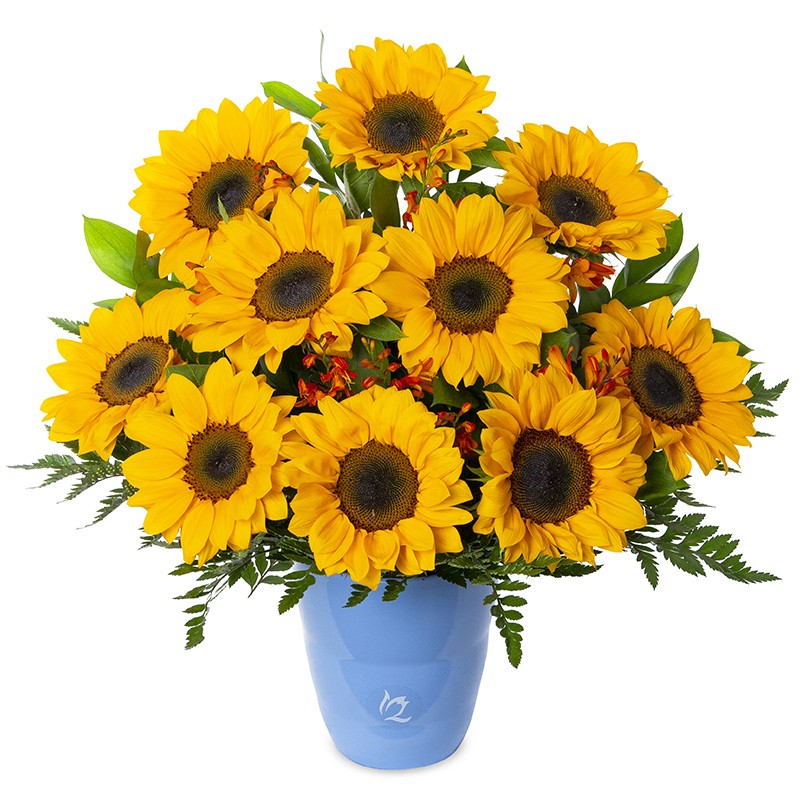 Arrangement with 10 sunflowers