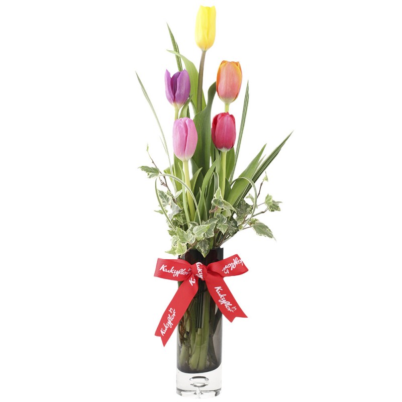 5 multicolored tulips in a vase