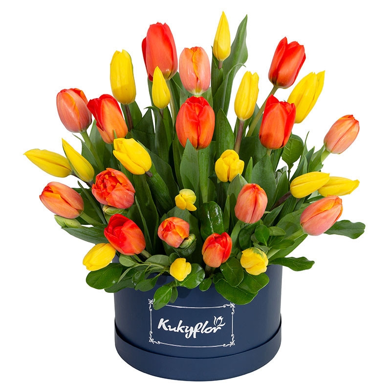 30 Box Top Tulips