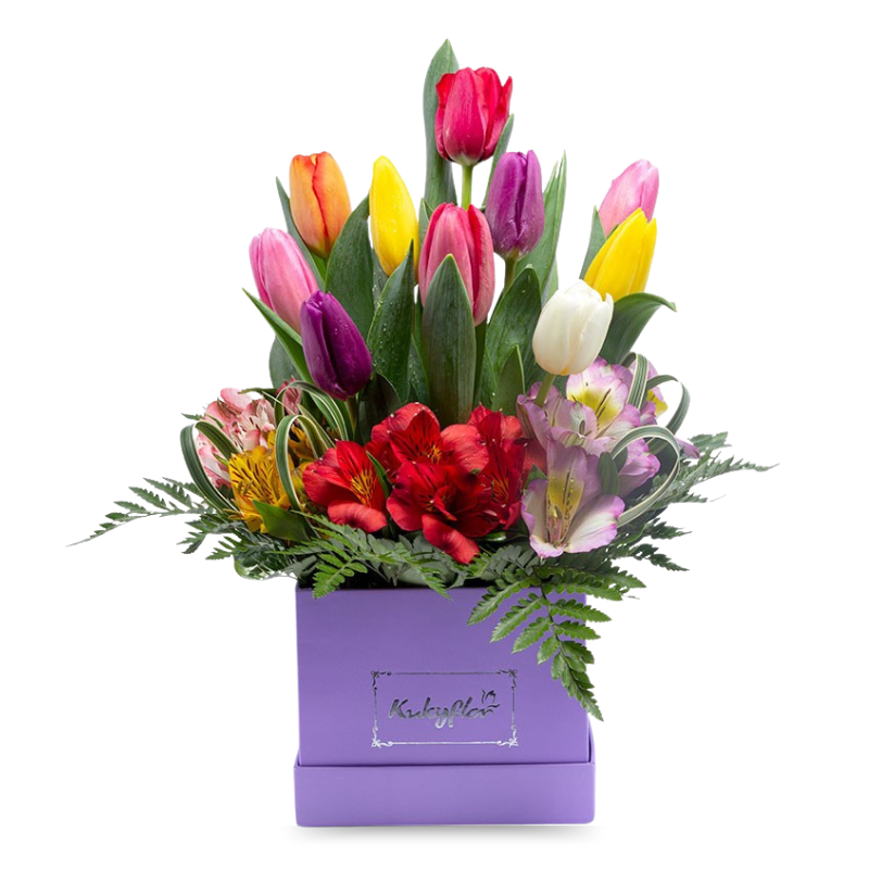 Tulipanes y Alstroemerias en Box