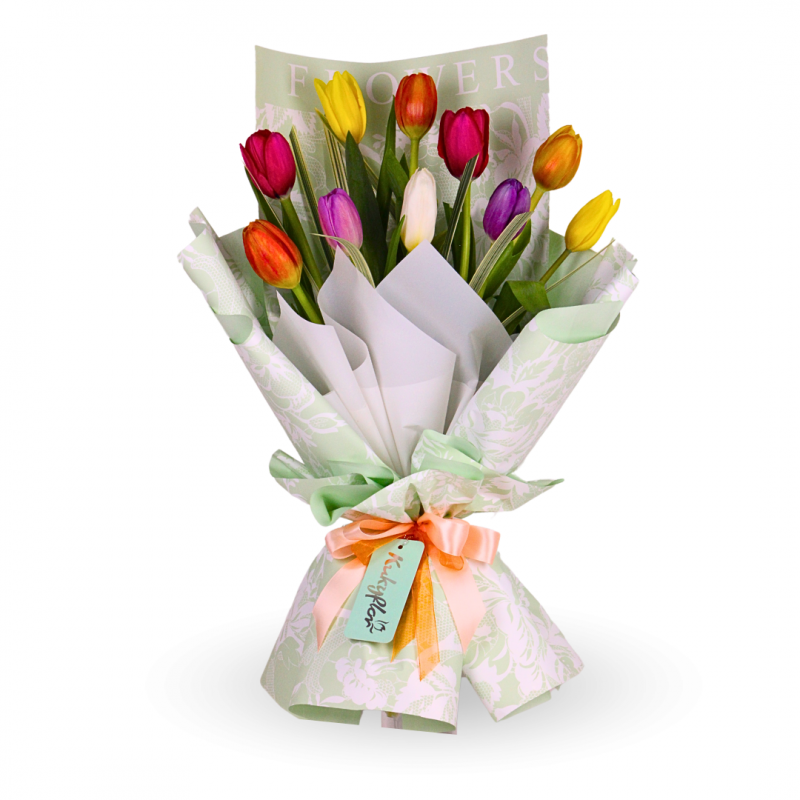 Bouquet of 10 Tulips