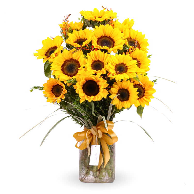 Arrangement of 15 Sunflowers in Vase