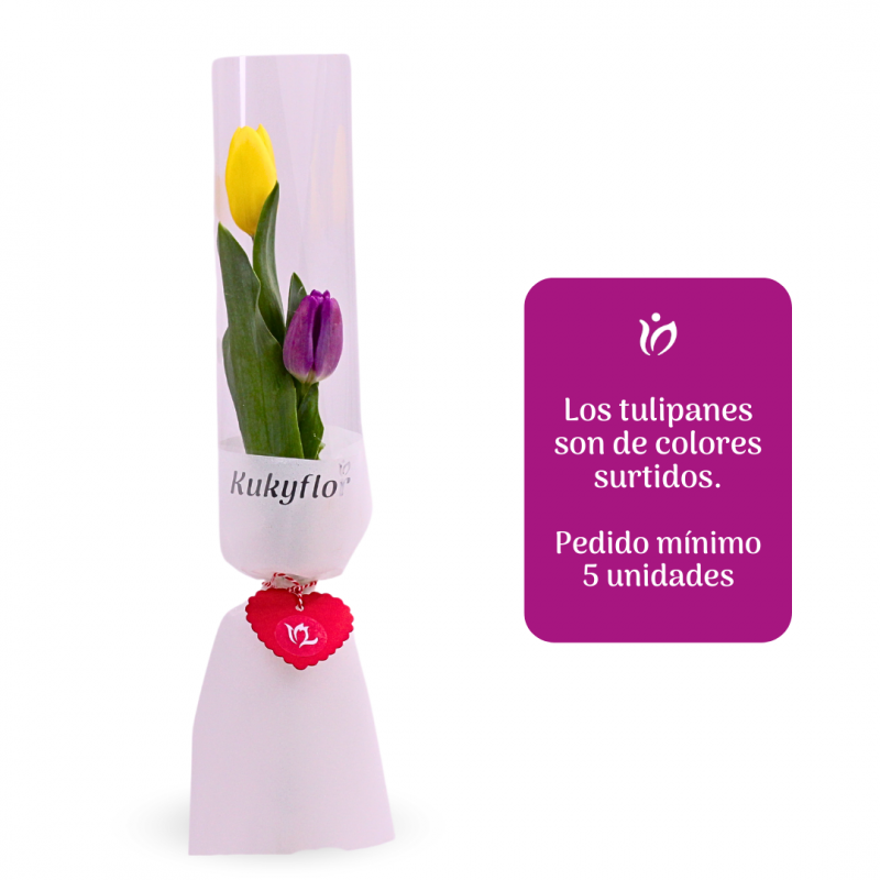 Bouquet of 1 tulip / Pack of 5 units.