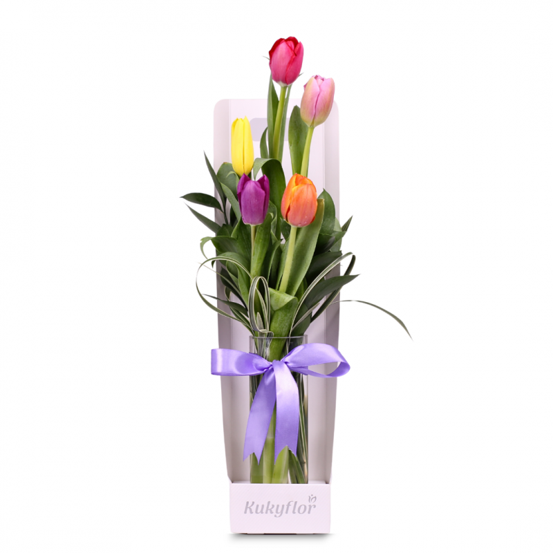 5 multicolored tulips in a vase