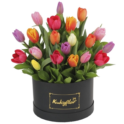 Box de Tulipanes