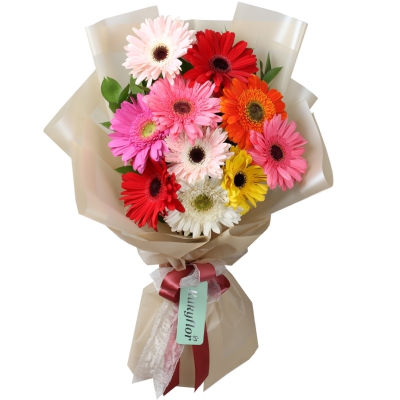 Gerbera Bouquets