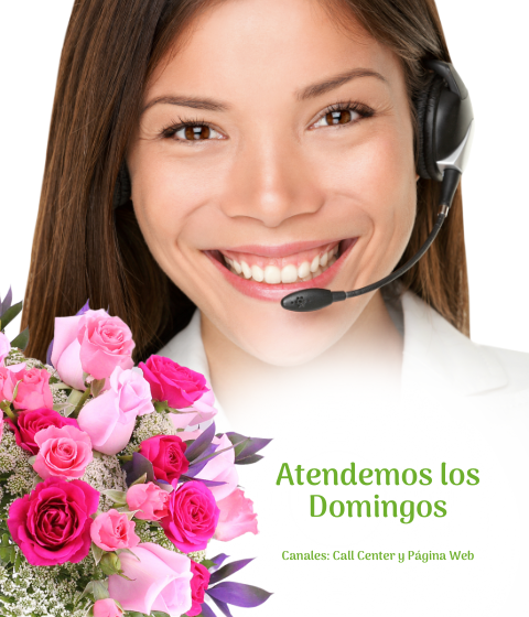 delivery de flores domingo